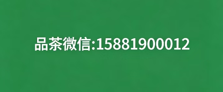 成都品茶